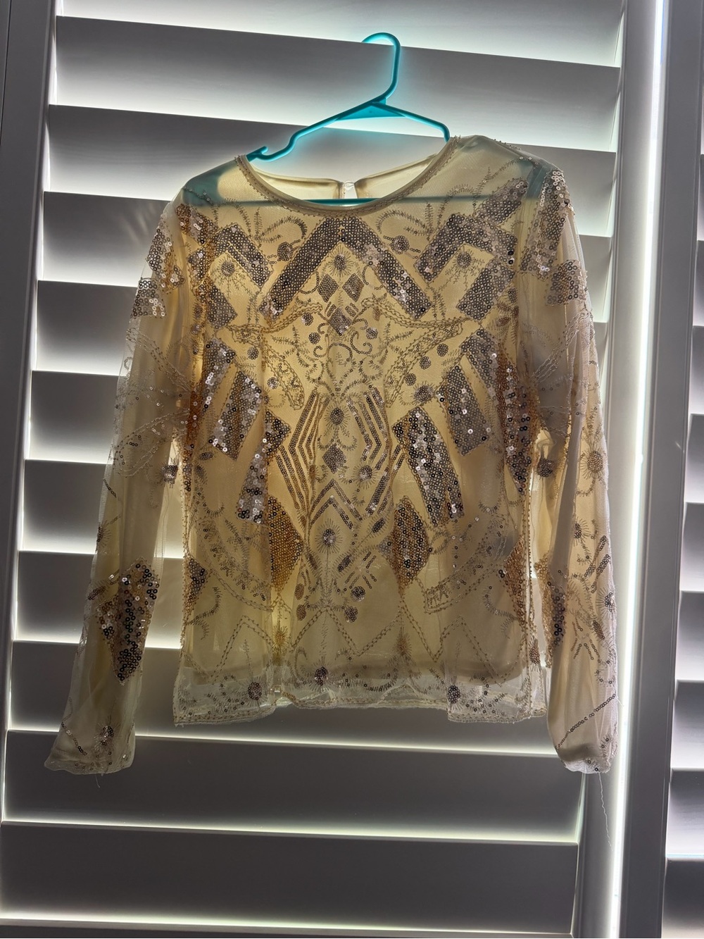Embellished Long-Sleeve Sheer Cream Top